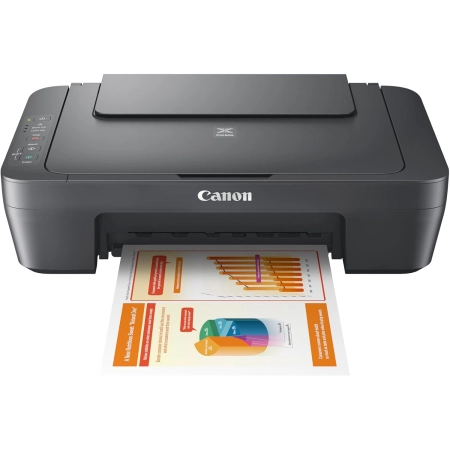 Printer CANON Pixma MFP MG2551S