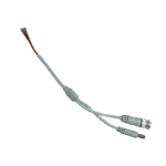 C-BNCP