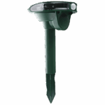 AR 01