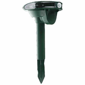 AR 01