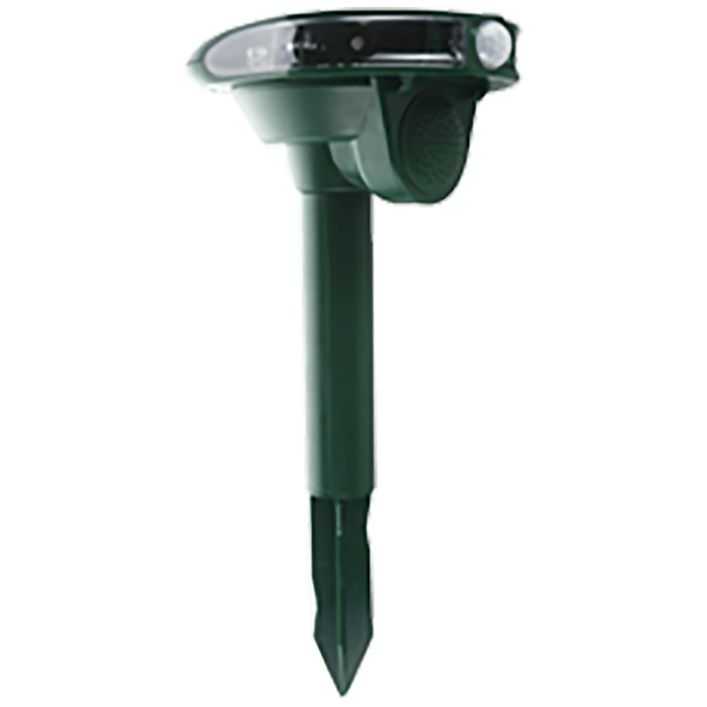 AR 01