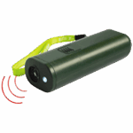 DOG 01