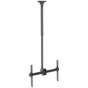 HD 3