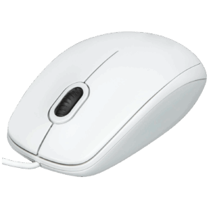 B100 White