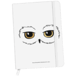 Notes Harry Potter 028
