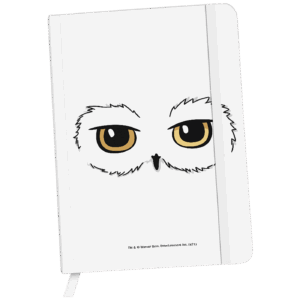 Notes Harry Potter 028