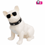 BT DOG