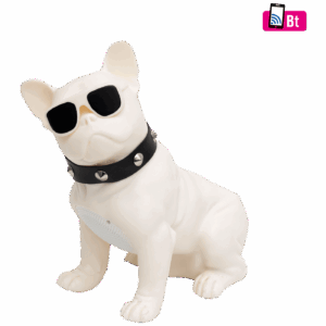 BT DOG