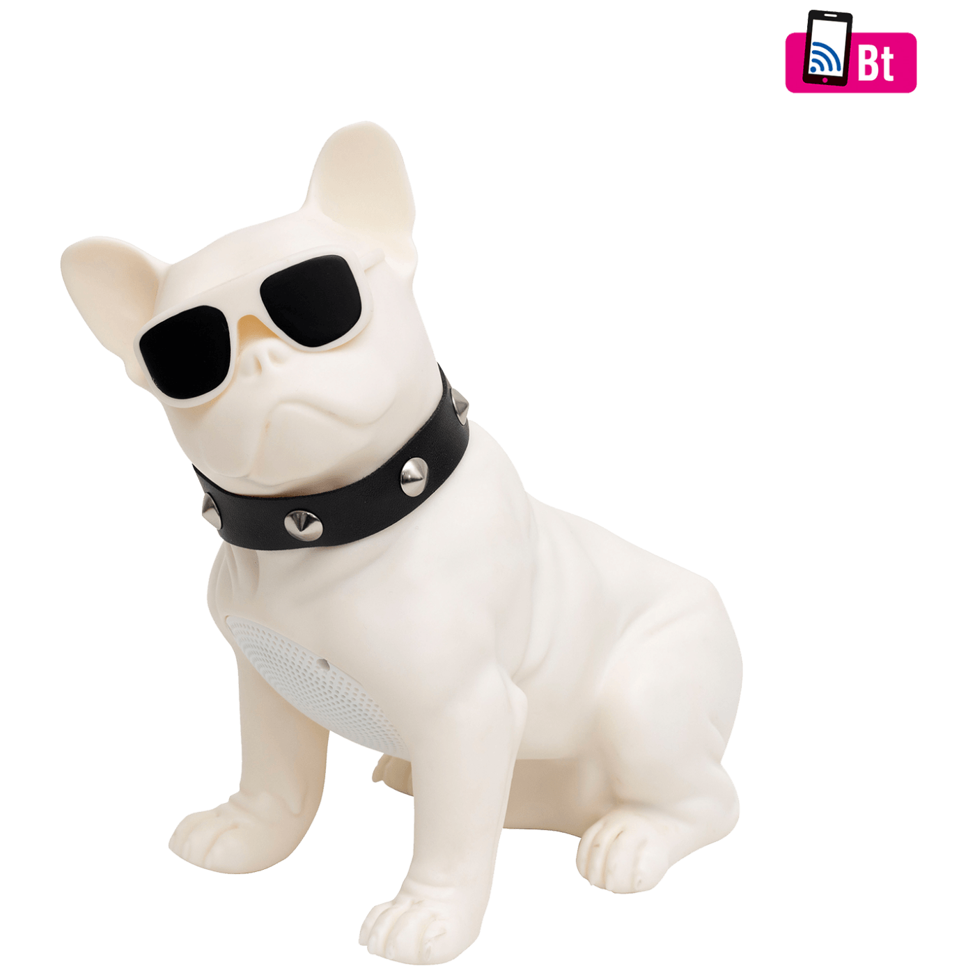BT DOG