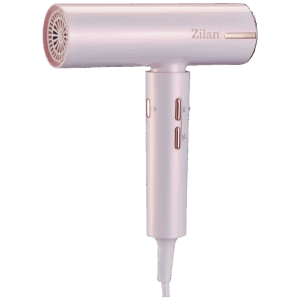 ZLN9181 Athena