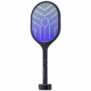 R1