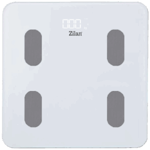 ZLN8979