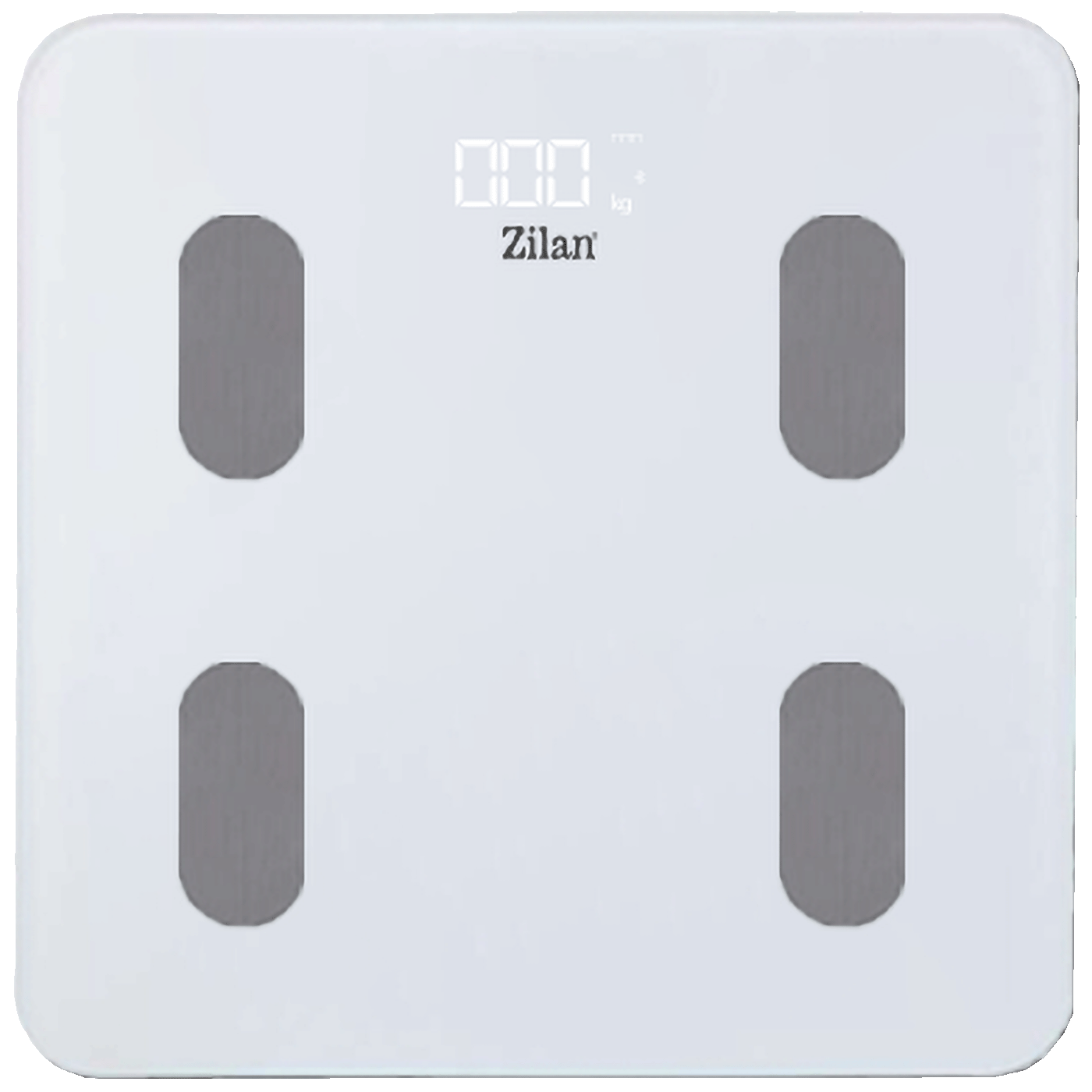 ZLN8979