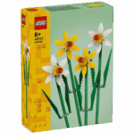 Narcis