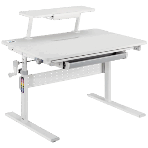 ER-483