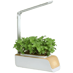 Vegetable Plant Growth Lamp