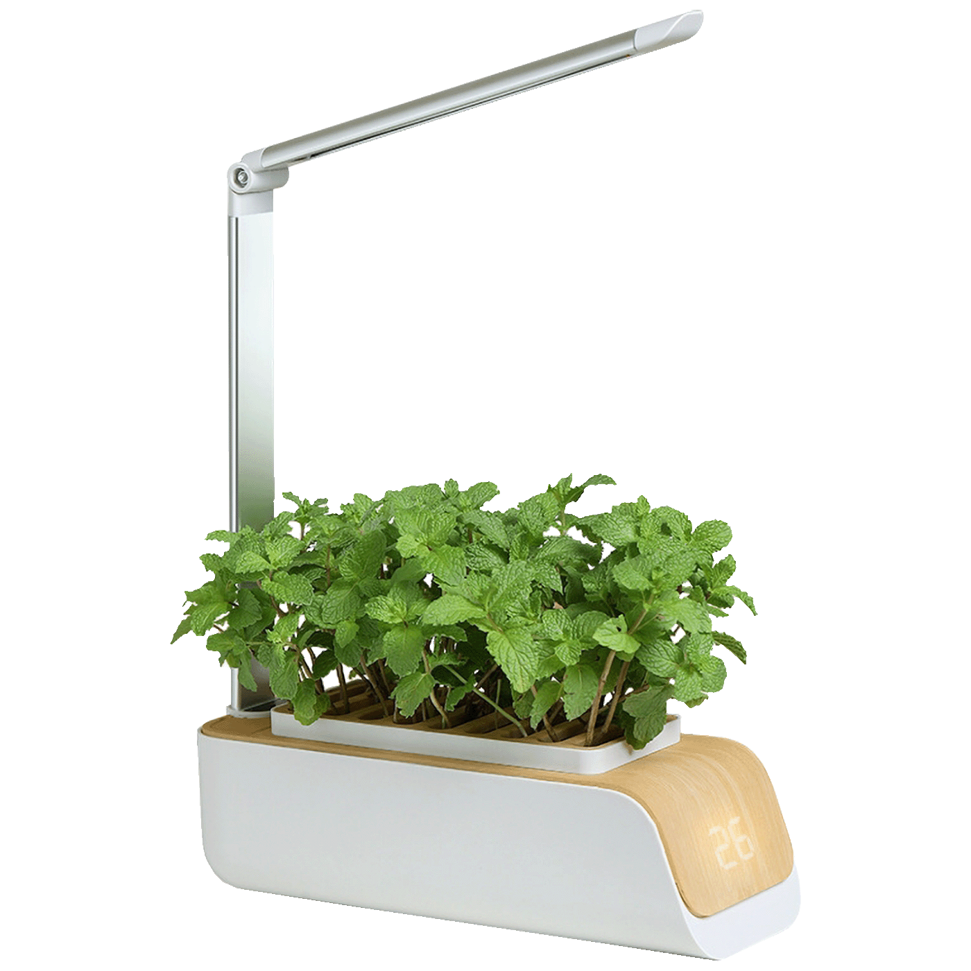 Vegetable Plant Growth Lamp