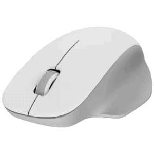 Wireless Mouse Comfort Edition (W)