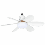 ZLN4590