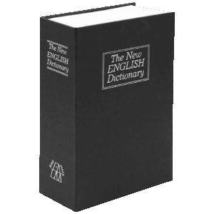 BookSafe Pro Money Box
